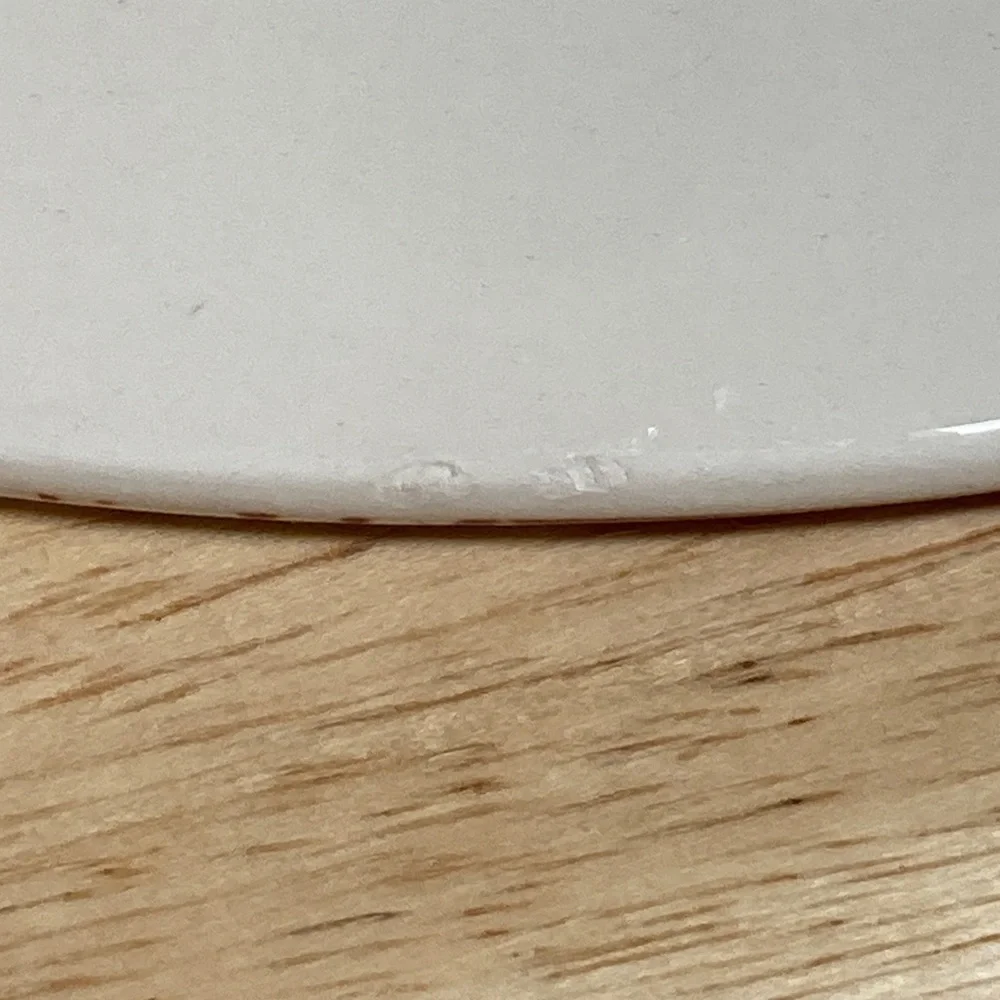 Pier 1 Imports Verona Ironstone Salad Plates Set of 4